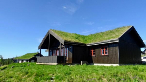 Kløverheimen - cabin in Golsfjellet